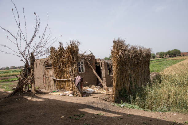 istock Traditional Egyptian village near Cairo 1492095368