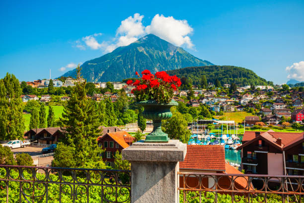 vigneti nella città di spiez, svizzera - lake thun swiss culture switzerland berne foto e immagini stock