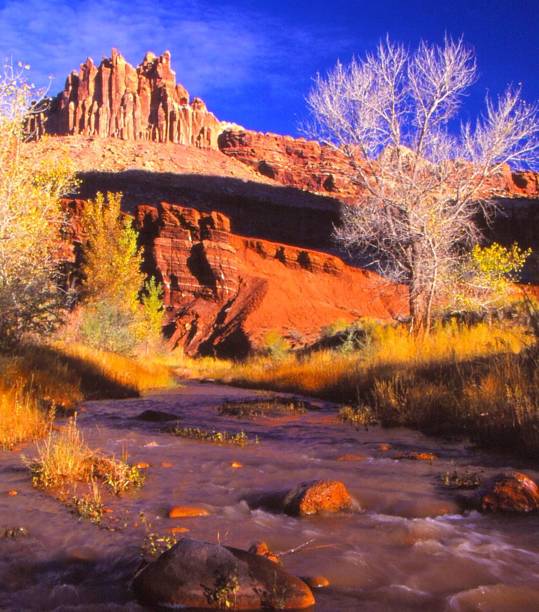 The Castle/Capitol Reef Nat'l Park/Fruita, UT