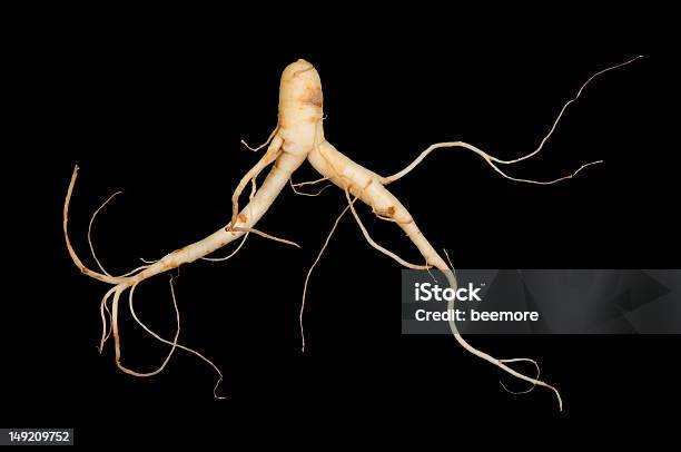 Frische Ginseng Mann Root Stockfoto und mehr Bilder von Ginseng - Ginseng, Chinesische Kräutermedizin, Chinesische Kultur