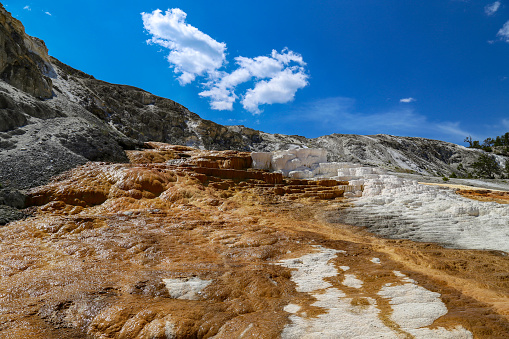 Natural hot springs in Yellowstone National Park