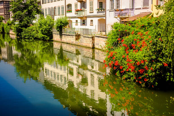 istock Strasbourg. France. Summer 1492102261