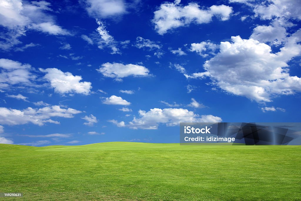 Campo di erba e nuvole bianche sul cielo blu - Foto stock royalty-free di Ambientazione esterna