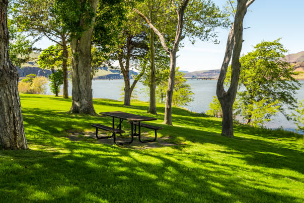 Park picnic area on the riverbank. Oregon, USA