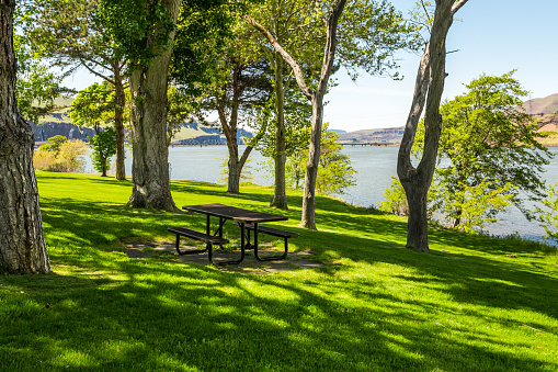 Park picnic area on the riverbank. Oregon, USA