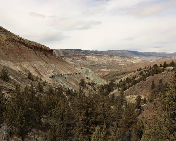 Scene from the Blue Basin Trail of John Day Fossil Beds National Monument stock photo