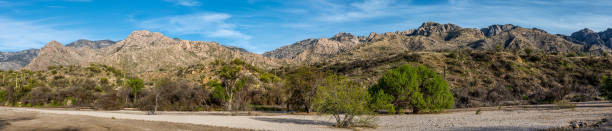 The Santa Catalina Mountains formed about 20 million years ago when tremendous heat and pressure from volcanoes caused this flat land to buckle and arch.  This photograph of the Santa Catalina Mountains was taken in Catalina State Park near Oro Valley, Arizona, USA.