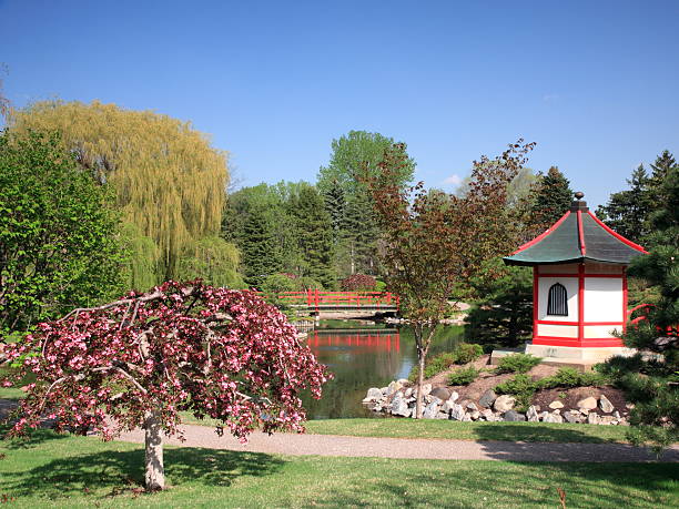 Japanese garden with blooming tree in Bloomington Minnesota