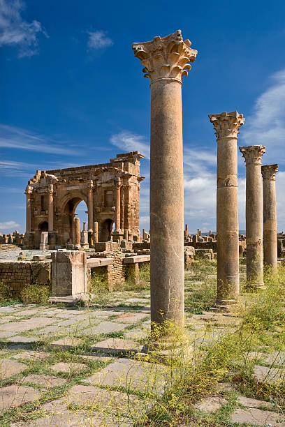 thamugadi sertius рынок - timgad стоковые фото и изображения