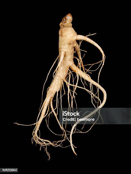 Frische Ginseng Mann Root Stockfoto und mehr Bilder von Ginseng - Ginseng, Chinesische Kräutermedizin, Chinesische Kultur