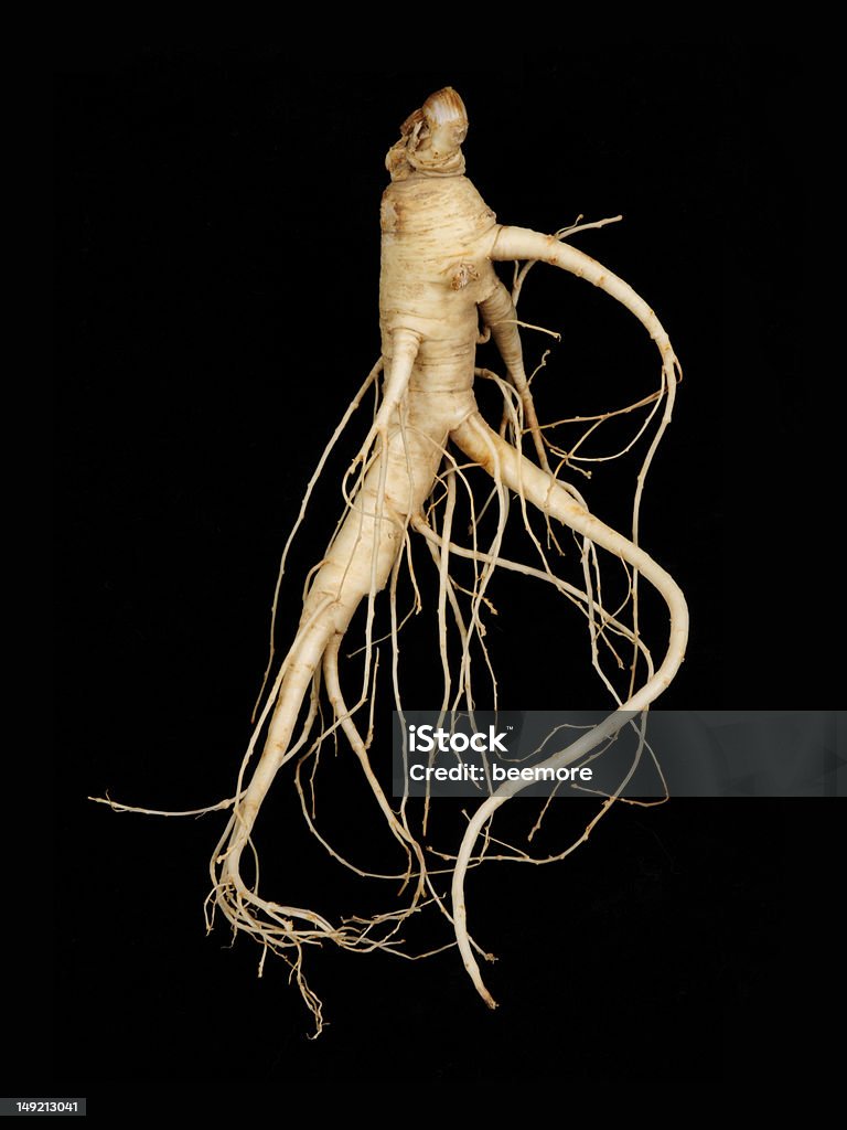 Ginseng frescos, hombre raíz - Foto de stock de Ginseng libre de derechos