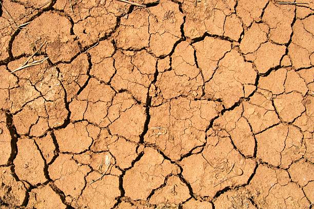 Parched fundo - fotografia de stock