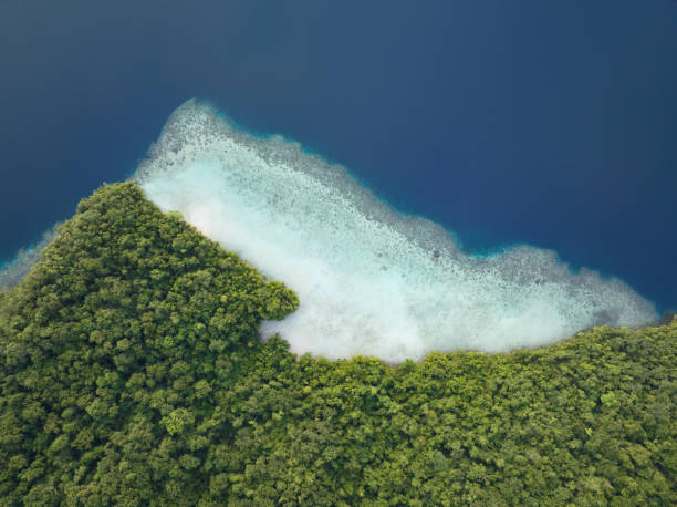 istock Aerial View of Rainforest-Covered Tropical Island 1492137634