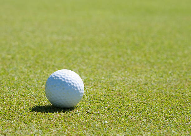 istock Golf ball on the putting green 149214224