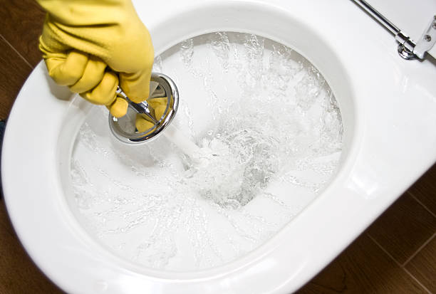 istock Cleaning the toilet 149214832