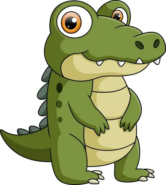 Vector illustration of Cute baby crocodile cartoon on white background