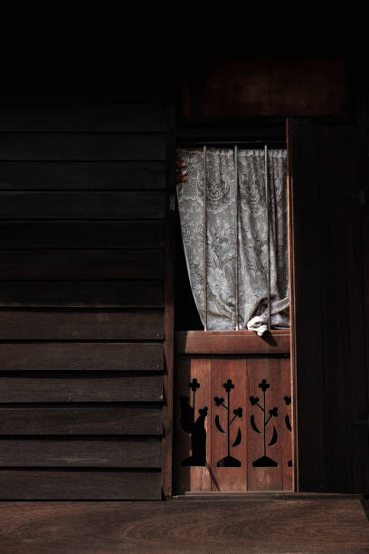 istock traditional malay wooden house window 1492152746