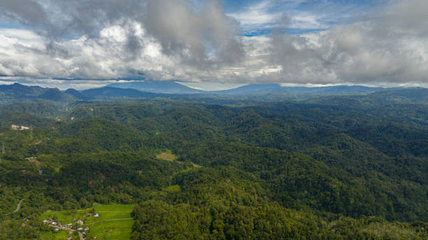 istock Mountains with rainforest and jungle. Sumatra, Indonesia. 1492152995
