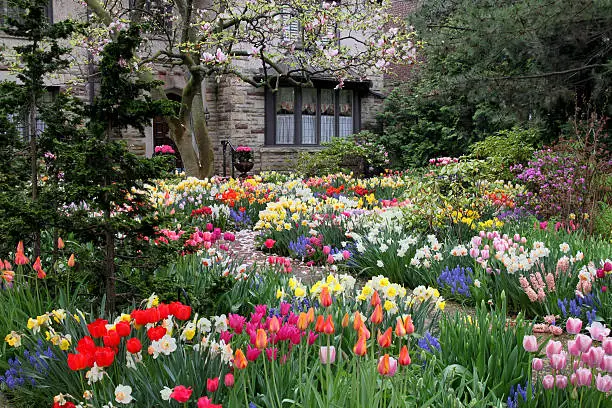 Photo of Bright spring garden