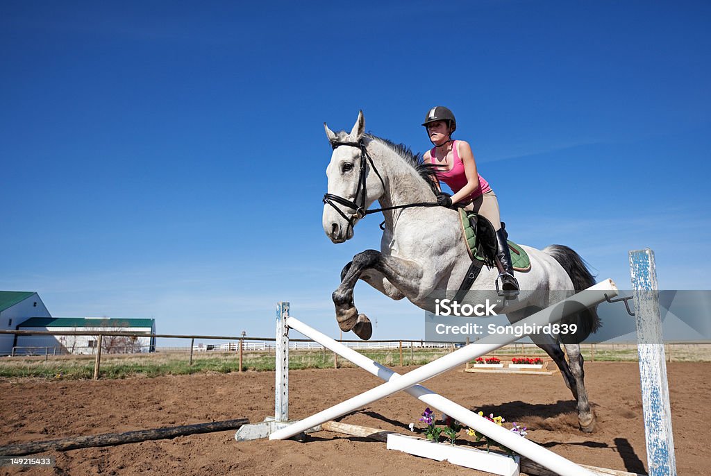 Show Jumper - Foto de stock de Concurso de Saltos Equestres royalty-free