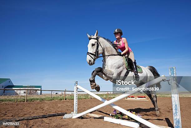 Foto de Show Jumper e mais fotos de stock de Concurso de Saltos Equestres - Concurso de Saltos Equestres, Cavalo - Família do cavalo, Performance