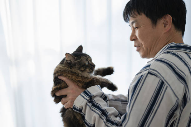 istock Middle-aged man holding cat in bed, morning 1492154986