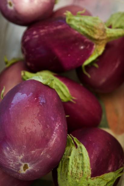 grupo de berinjelas roxas no mercado de um agricultor - eggplant farmers market purple agricultural fair - fotografias e filmes do acervo