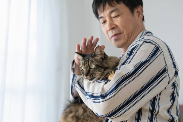 istock Middle-aged man holding cat in bed, morning 1492155054