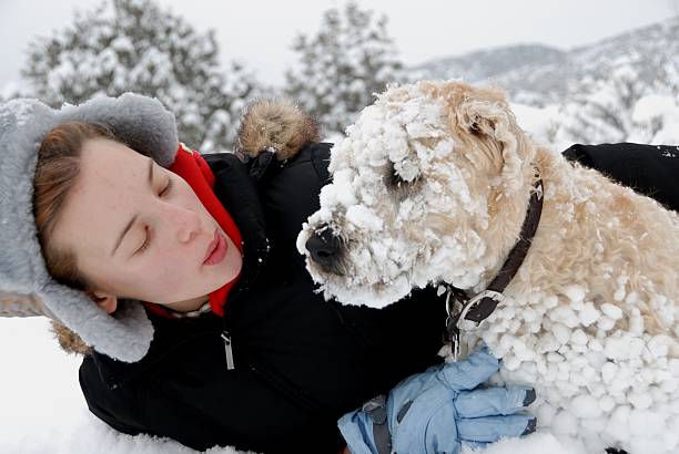 Girl with her dog stock photo