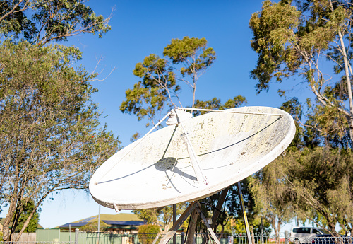 Satellite communications dish among eucalyptus trees in Lismore, NSW, Australia