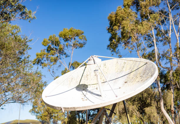 Satellite communications dish among eucalyptus trees in Lismore, NSW, Australia