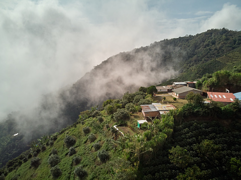 This image taken from air shows us panoramic view of country house located in middle of imposing mountains of coffee. House, surrounded by lush natural environment, is located in picturesque and secluded location. Mountains covered in dense coffee plantations surround property, creating visually captivating setting.