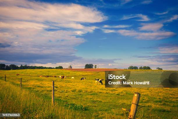 Big Sky Dairy Farm Stock Photo - Download Image Now - North Carolina - US State, Farm, Landscape - Scenery