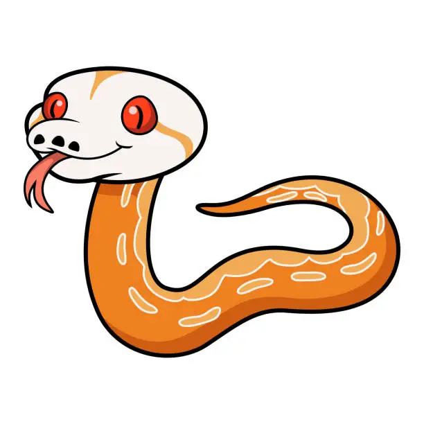 Vector illustration of Cute albino sunfire tiger het genetic stripe reticulated python