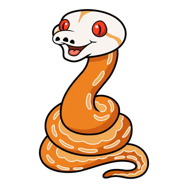 Vector illustration of Cute albino sunfire tiger het genetic stripe reticulated python