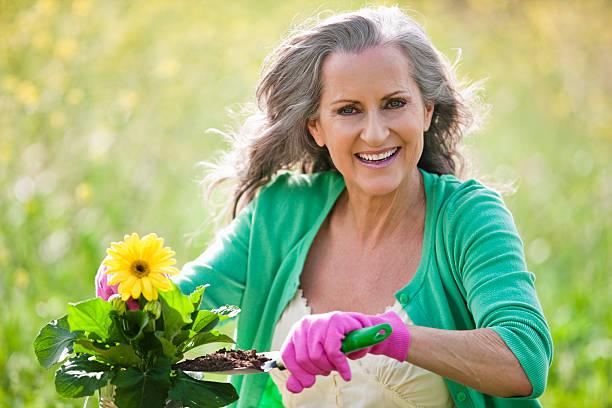 senior adulto mulher jardinagem - planting clothing gray hair human age - fotografias e filmes do acervo