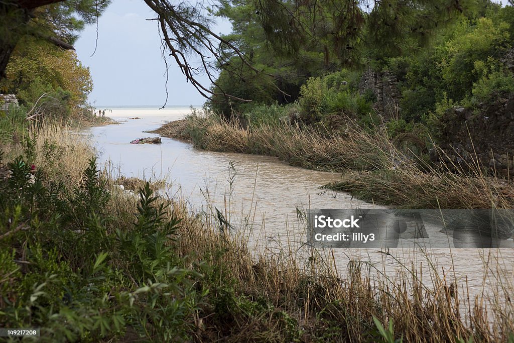 Rivière Overflowed - Photo de Accident et désastre libre de droits