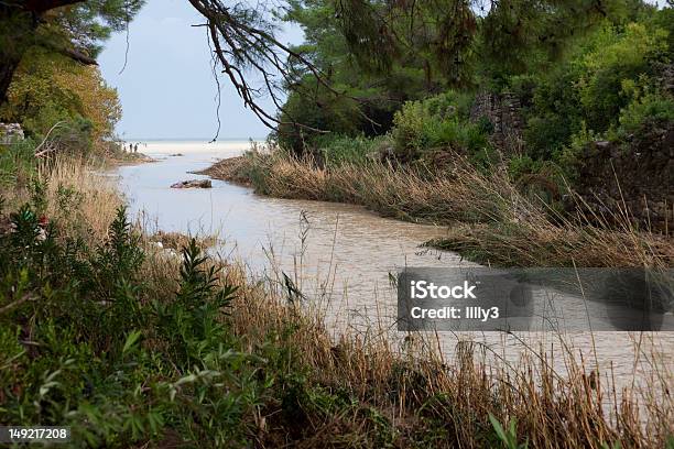 Overflowed 강 갈색에 대한 스톡 사진 및 기타 이미지 - 갈색, 강, 강 바닥
