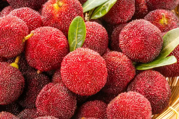Red Yangmei or Arbutus berries Fruit in basket, Red Bayberry, Yumberry, yamamomo, Waxberry in packaging.