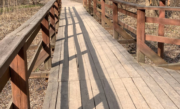 istock wooden ecological path in a sunny spring forest 1492181763