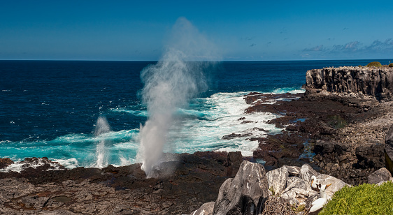 The blow hole on Hood Island or Espanola Island, Galapagos Islands, Ecuador. Galapagos Islands National Park. Water spraying into the air from the blow hole.