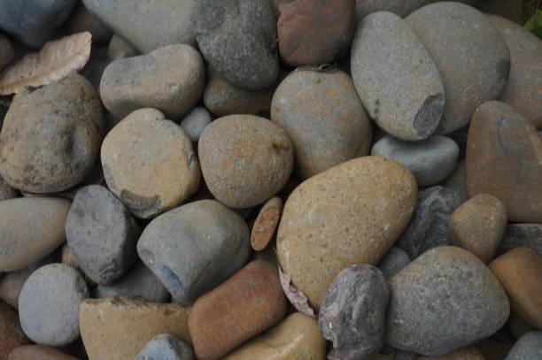 istock scattered stones in the daylight 1492184047