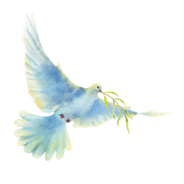 istock Watercolor illustration of flying dove with olive branch isolated on a white background. 1492185352