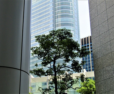Skyscrapers around Akihabara station.