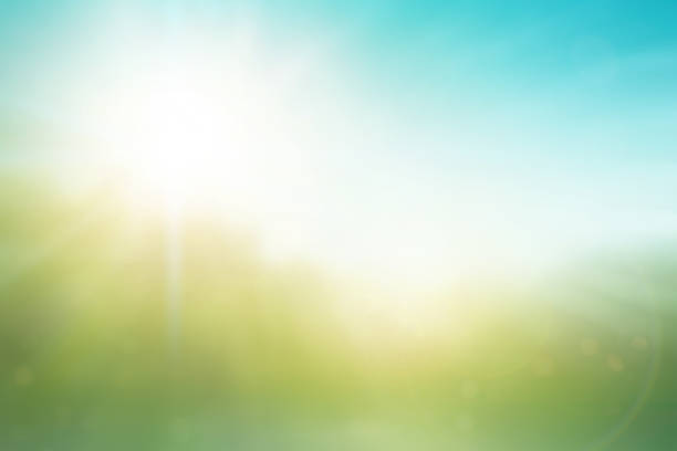 istock Abstract green bokeh blurred gradient in spring morning garden background Earth day concept: sun light meadow and blue sky on autumn sunrise. Bright greenery world environment wallpaper. 1492189076