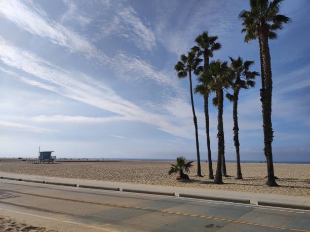 view of the palm trees on the beach in santa monica, california - santa monica beach santa monica pier malibu california imagens e fotografias de stock