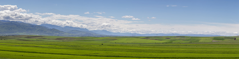 Endless expanses of agricultural land. Mountain range landscape panorama. Bright green shoots in the fields.