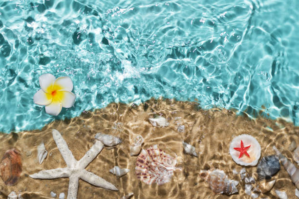 istock Sea water, sand and seashells background. 1492197723