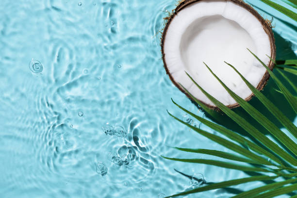 istock Summer background with coconuts on water background with water splashes. 1492197728
