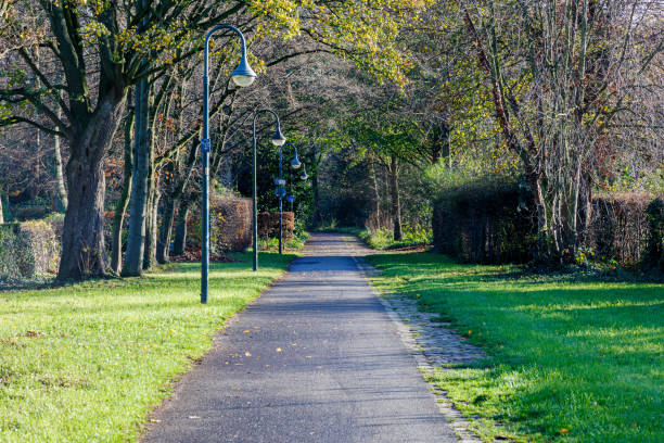 istock Footpath with trees in a garden 1492203268